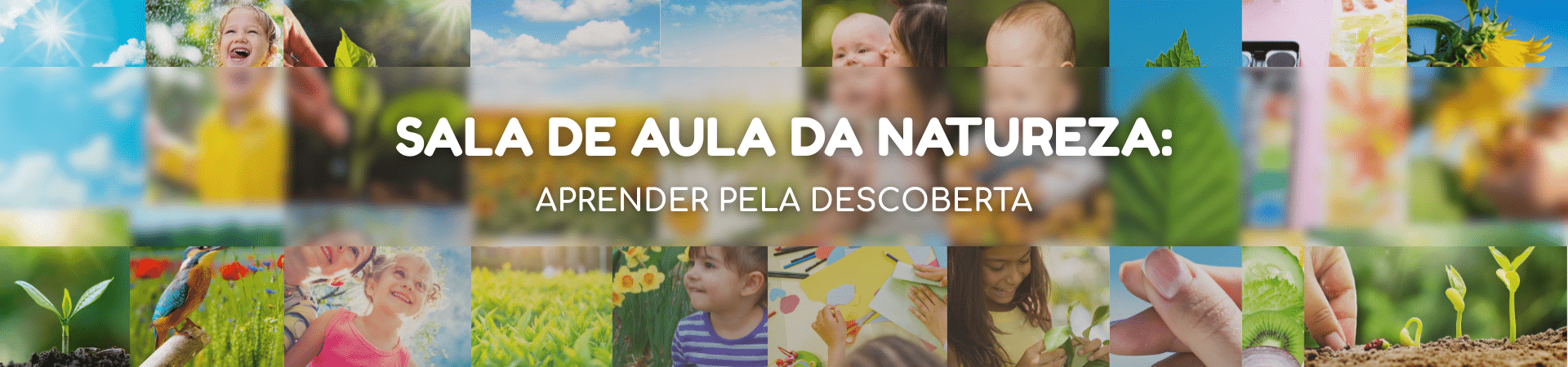 atividades para aprender com a natureza, método Pestalozzi
