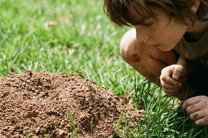 cooperacao-regra-da-natureza-mito-competicao