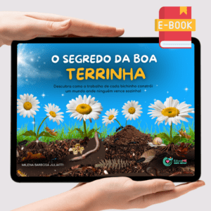 Ebook O Segredo da Boa Terrinha